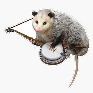 Possum Playing Banjo Vinyl Decal Wall Laptop Bumper Sticker 5"