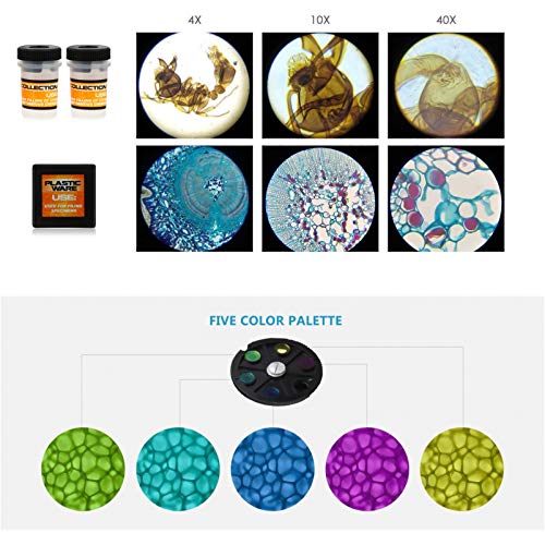 CLISPEED 1 Conjunto Microscópio Infantil Microscópio Estudantil Kits Educacionais De Ciências Micros