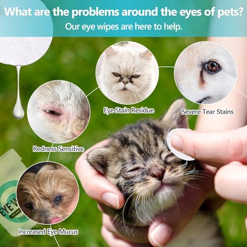 Havenfly Lenços Umedecidos Para Cães E Gatos, Lenços Umedecidos Para Limpeza De Olhos, Patas, Orelha