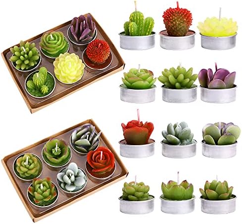 12 Pcs Cactus Tealight Candles Delicate Succulent Cactus Candles for Valentine's Day Birthday Party Wedding Spa Home Decoration Gifts