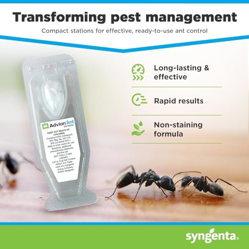 Syngenta Advion Ant Gel Station Insecticide, Ready-to-Use Gel Bait with The Active Ingredient Indoxacarb, Ant Bait for Use Indoor and Outdoor, 12 Boxes (36 Total Stations)