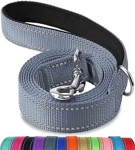 Joytale Padded Handle Dog Lead,Double-Sided Reflective Nylon Dogs Leads for Training,Walking Leash for Small, Medium Dogs, 1.2m × 2cm, Teal