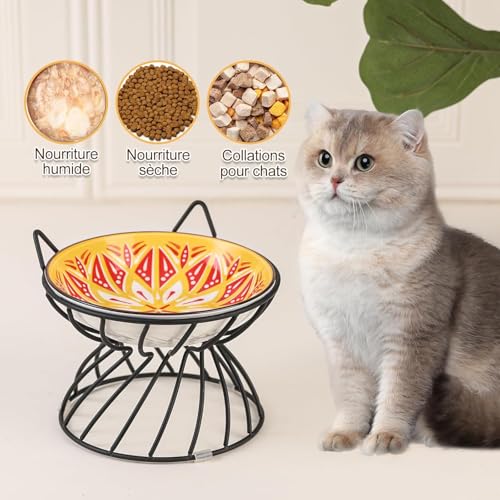 Gamelle pour chat surélevée bol chat céramique avec support métal