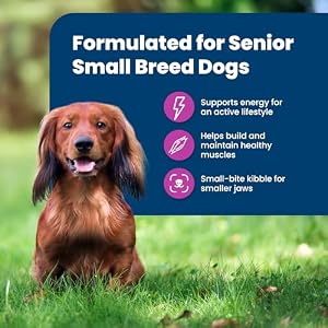Blue Buffalo Life Safety Method Small Breed Senior Dry Canine Meals, Helps Joint Well being and Immunity, Made with Pure Elements, Rooster & Brown Rice Recipe, 15-lb. Bag Blue Buffalo Life Safety Method Small Breed Senior Dry Canine Meals, Helps Joint Well being and Immunity, Made with Pure Elements, Rooster & Brown Rice Recipe, 15-lb. Bag