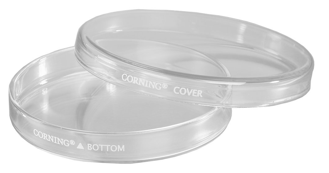 Corning 70165-102 Petri Culture Dish with Cover, 100 mm Diameter, 20 mm H (Pack of 12)
