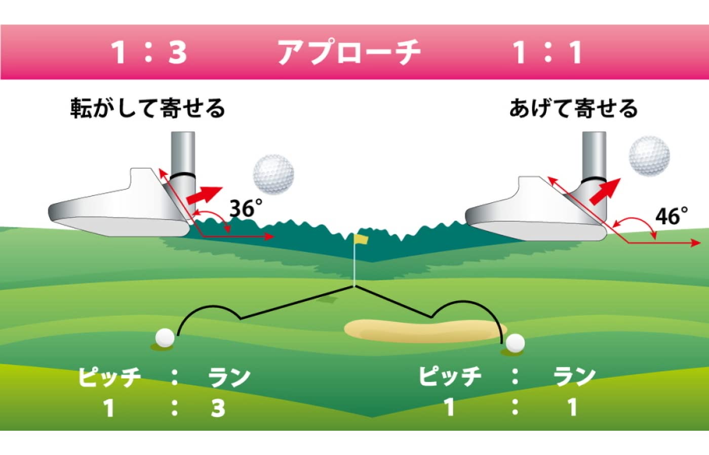 Amazon.co.jp: CHIPPER Lab チッパーラボ レディース チッパー