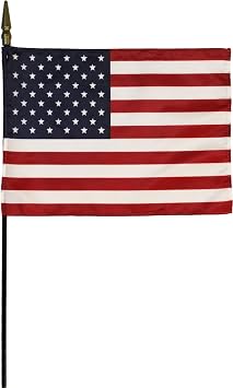 USA United States 8 inch x 12 inch World Flag Mounted on 20 inch Black Wooden Stick