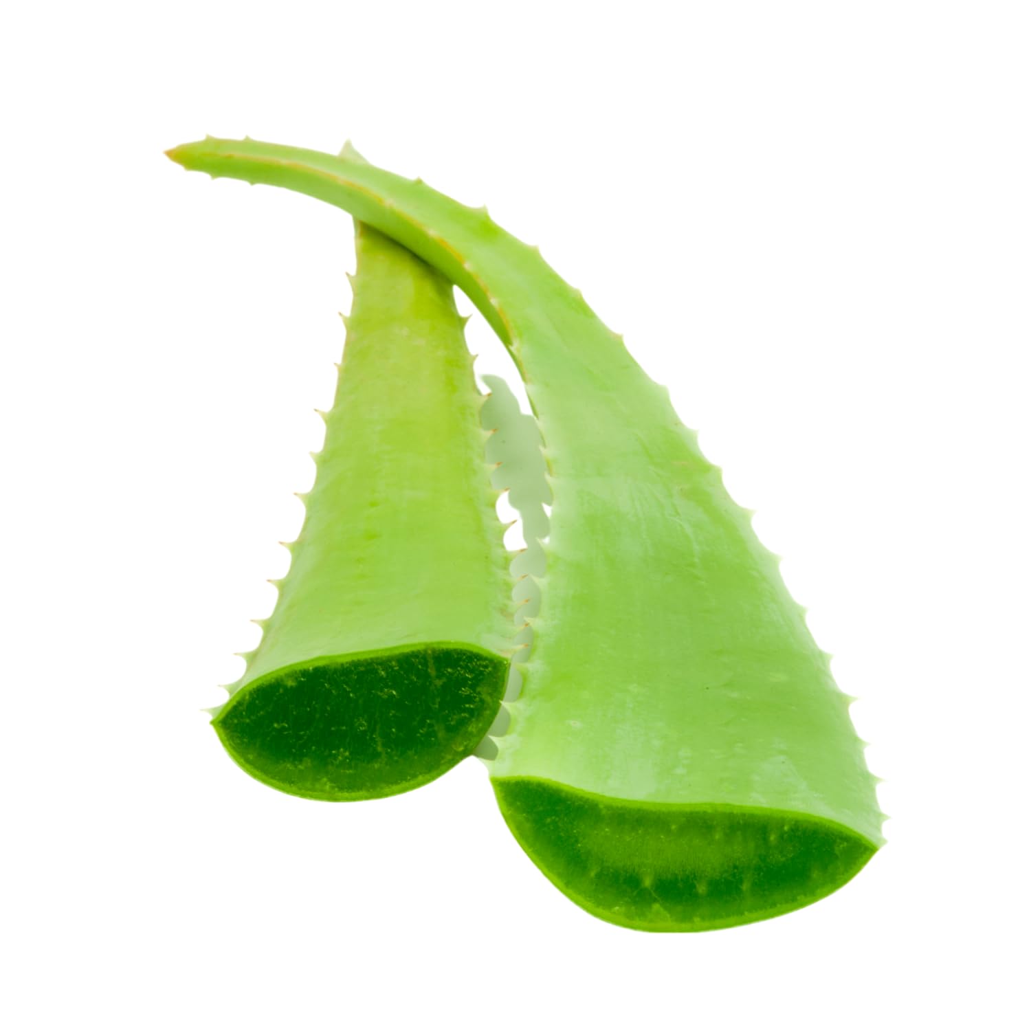 Vonderweid - Puro Succo di Aloe Vera Italiana Biologica | Integratore Alimentare Depurativo Digestivo Lenitivo e Nutriente con Aloe Vera da Bere | Non Filtrato | Made in Italy | 1000 mL
