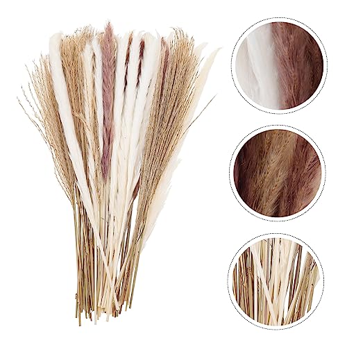 Alipis 300 Peças Flores de junco secas grama seca fofo seco plantar decoração adereços de layout mas
