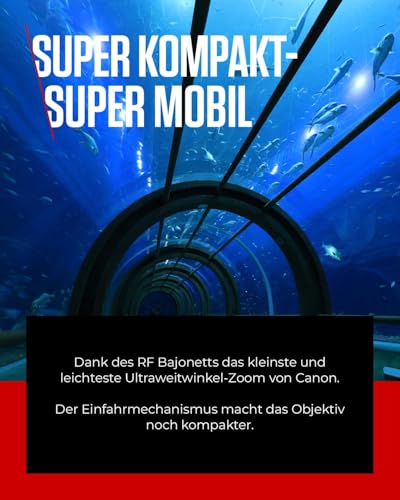 Objectif Canon RF-S 10-18 mm F4,5-6,3 is STM Zoom Ultra Grand-Angle, stabilisateur d'image Optique 4 Vitesses, Voyages/vlog, Compatible Canon EOS R