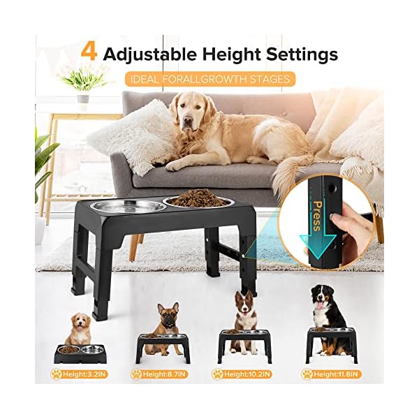 Weenkilly Elevated Dog Bowls 4 Adjustable Heights,Raised Dog Feeding Bowls,Stainless Steel Dog Food Bowl – No Spill Feeder Dog Bowl, Non-Slip Dog Feeder Stand Suitable for Large Medium Small Weenkilly Elevated Dog Bowls 4 Adjustable Heights,Raised Dog Feeding Bowls,Stainless Steel Dog Food Bowl – No Spill Feeder Dog Bowl, Non-Slip Dog Feeder Stand Suitable for Large Medium Small