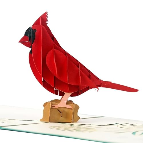 Flying Meow Cardinal Bird 3D Pop-Up Card - Handcrafted Greeting Card for BirthDay, Annivesary, Sympathy, Thank You Occasion (Cardinal Bird)