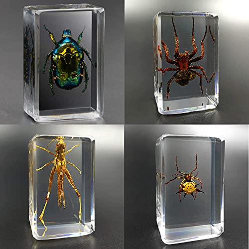 Presse-papier en résine d'insecte géant pour sublimer votre bureau de cabinet