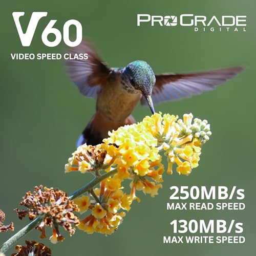 ProGrade Digital V60 256GB