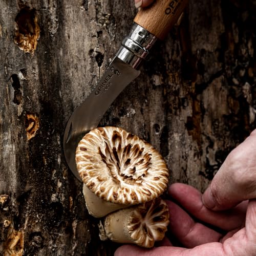 Foto von Opinel Pilzmesser Länge geöffnet, Wood, Braun, 20.0 cm, 254148