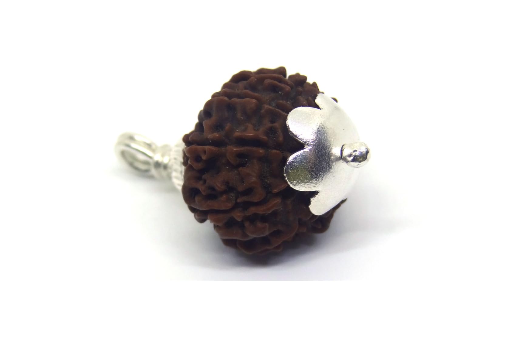 11 Mukhi Rudraksha Nepali Original Certified 21mm With Pendant 11 मुखी रुद्राक्ष लैब सर्टिफिकेट Gyarah Mukhi Rudraksha Eleven Face 11 Face Rudraksh Original Nepal By Certified Gems