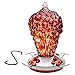 Hummingbird Feeder - HAND-BLOWN GLASS Feeders for Bird Lovers | Wild Raspberry | Enjoyable, Premium, Unique | Holds 16 ounces of nectar | Best Reviews | LOVE our Feeders or 100% MONEY BACK GUARANTEE (by Best Home Products)