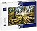 Lais Puzzle L'alba nella pineta 100 Pezzi