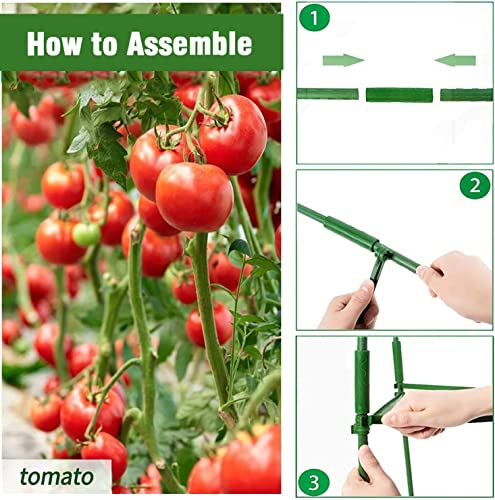 4Ft 3-Pack Tomato Cage For Garden Plant Cages, Up To 48Inch Plant Supports Tomato Trellis Stakes For Potted Plants, Heavy Duty Tomato Cages Cucumber Trellis For Garden Vertical Climbing Plants Flowers #TOP5