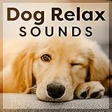 Man's Best Friend Records