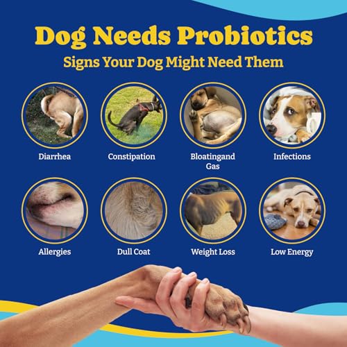 Image of Probiotics for Dogs - 6 Billion CFUs, Dog Probiotics with Prebiotics & Digestive Enzymes for Gut, Immune & Skin Health - Turkey & Pumpkin Flavor, 180 Soft Chews