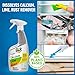 CLR Brands® Calcium, Lime & Rust Remover, Blasts Calcium, Dissolves Lime Deposits, Zaps Stubborn Rust Stains and Hard Water Deposits, 22 Ounce Spray Bottle (Pack of 1)