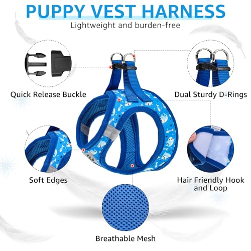 SCENEREAL Small Dog Harness and Leash Collar Set, Step in Soft Light Puppy Vest, Breathable Pet Harness for Small Sized Dogs, No Chock Reflective for Safe Outdoor Walking, Blue Shark S - Thumbnail 6