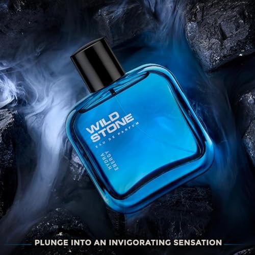 Image of Wild Stone Hydra Energy Perfume Spray, Sandalwood, 100 ml
