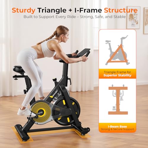 OWLSKY Exercise Bike with APP Review