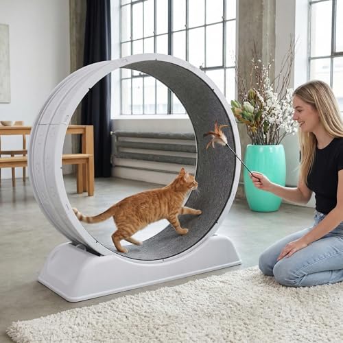 Cat Wheel 80 * 80cm Zoll Katzenräder für Indoor-Katzen Plastik Katze Übung Laufband Rad mit Teppich Startbahn für Kätzchen tägliche Übung und Gewichtsverlust Lustiger Katzenstock(Grey-Grey Carpet)
