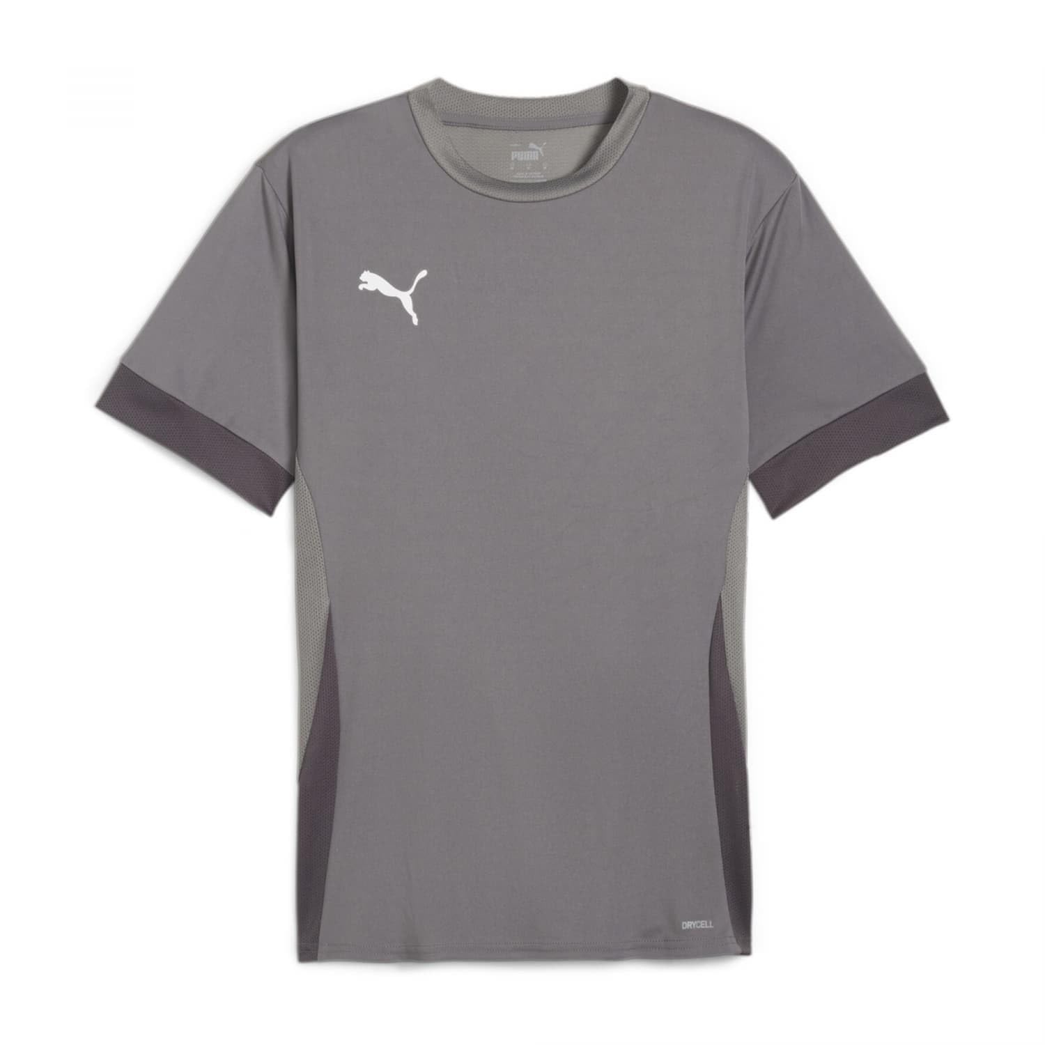 PUMA teamGOAL Matchday Jersey jr
