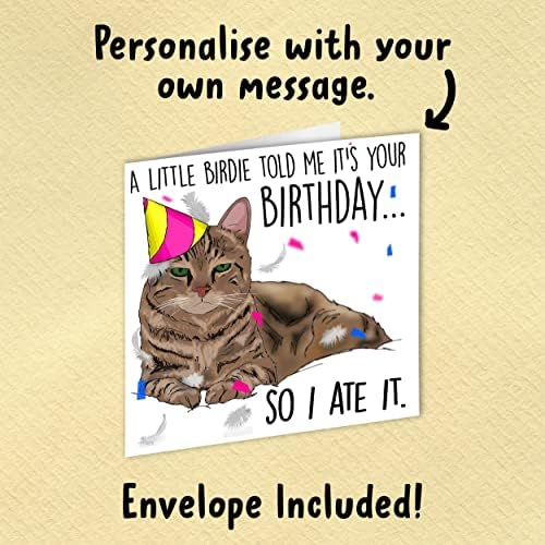 Notnicethings Cat Birthday Card, Humorous Greeting Card, Happy Birthday for Friends, Gift for Cat Lovers