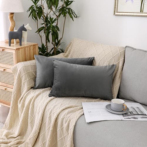 NiNi ALL Dark Grey Velvet Throw Pillow Covers 12x20 Pack of 2 Decorative