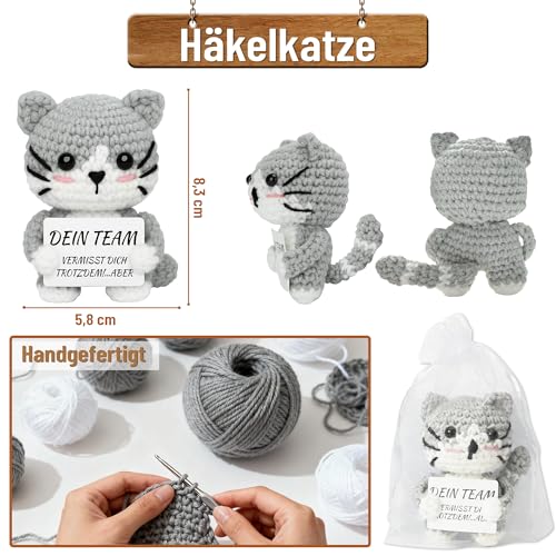 EccoCove Abschiedsgeschenk Kollegen Jobwechsel – 4-teiliges Set mit Notizbuch, Stift, Häkelkatze & Glücksmünze – Abschied Kollegin Kollege, Kleine Geschenke für Kollegen, Ruhestand, Neuer Job