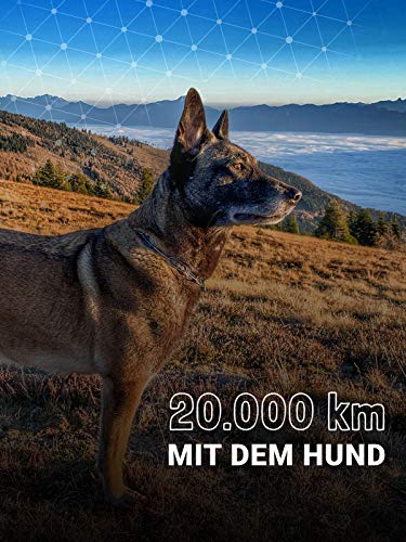 20.000 km mit dem Hund