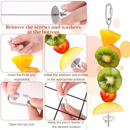 Nogeqi 3PCS Bird Cage Food Holder with Hook, Stainless Steel Bird Feeder for Cage, Parrot Fruit Skewers, Birds Foraging Toys for Macaw Parakeet Parrot Budgie (3 Sizes)