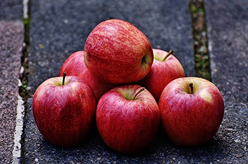 Creative Farmer Fruit Seeds : Apple Seeds For Farming Fruit Seeds Pack (B075PWLBHV) Amazon Price History, Amazon Price Tracker