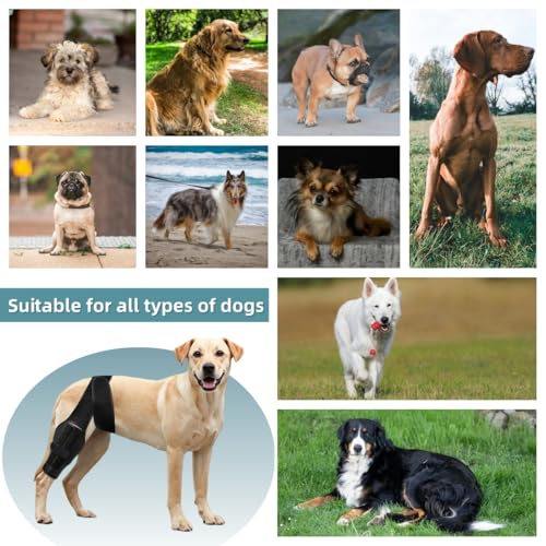 Image of Dog Knee Brace for ACL Tear Adjustable ACL Knee Brace for Dogs Front or Rear Leg, Hip Dysplasia, Arthritis, Ligament Injuries Leg Support Brace for Canine Recovery (S)