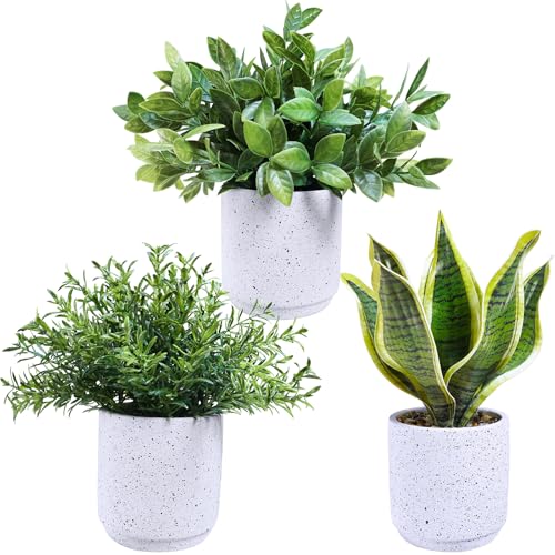 Winlyn 3 Pack Small Potted Artificial Plants Faux Rosemary Boxwood Snake Plants in White Cement Planters Decorative Plants 8.3