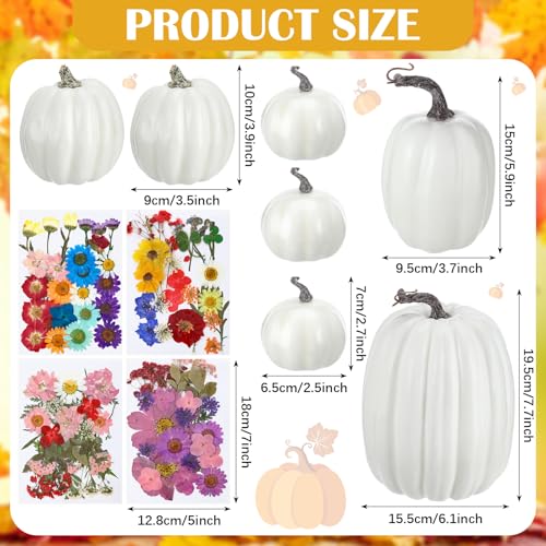 Kit de decoración otoño Halloween con 7 calabazas y 100 flores secas miniatura 2