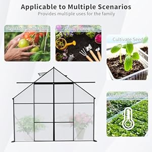 8x10 FT Greenhouse for Outdoors,Polycarbonate Greenhouse with Two-Sliding Door & Adjustable Roof Vent,Aluminum Large Walk-in Greenhouse for Outside Garden Backyard,Black 8×10 FT Greenhouse for OutdoorsPolycarbonate Greenhouse with Two Sliding Door Adjustable Roof VentAluminum Large Walk in Greenhouse for Outside Garden BackyardBlack
