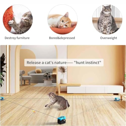 Roue de course pour chat d'intérieur avec tapis roulant d'exercice interactif réglable - 6