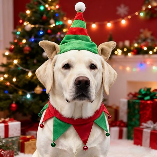 Sombrero de Santa y bufanda para perro rojo y verde L miniatura 6