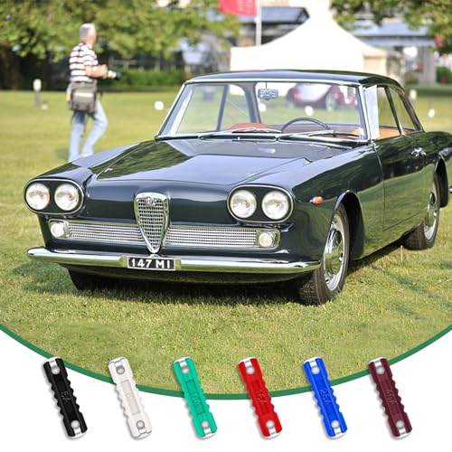 60 Stück Abschmelzsicherungen Set, Bolatus Torpedosicherungen 5A 8A 10A 16A 25A 40A Auto Sicherungs-Set für Europäische Fahrzeuge Oldtimer Autos
