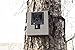 Bushnell Bear Safe Security Case for 2014 Trophy Cam HD Trail Camera