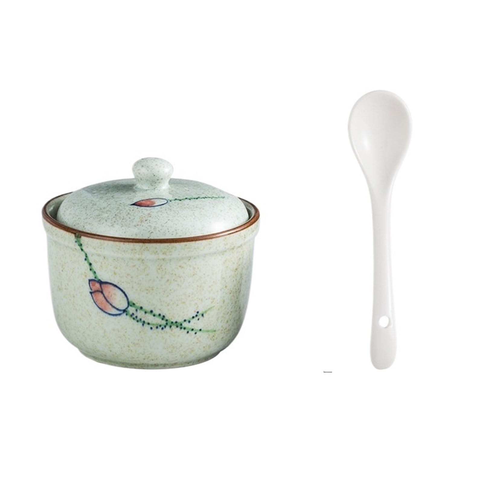 HYFEUOKF Retro Porcelain Hand Painted Jar Salt Gourmet Powder Can Box Household Kitchen With Seasoning Spoon(Pinhe)