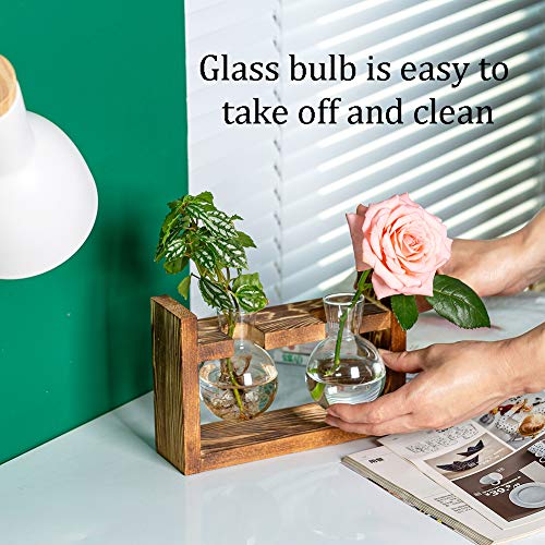 Glasseam Propagation Stations Plant Terrarium, Glass Bud Bulb Vase With Wooden Stand Propagate Station Propogation Jars Desktop Hydroponic Planter Air Plants Containers Tabletop For Indoor Flower #TOP5