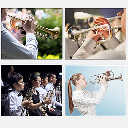 Trompeten Mundstück, Messing Trompeten Mundstück 3C Professionelles Musikalisches Trompeten Werkzeug für Trompeten Anfänger-Liebhaber(Silber)