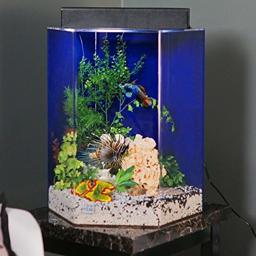 Hexagon Acrylic Aquarium Tank Color: Black, Size: 24" H x 29" W x 25" D