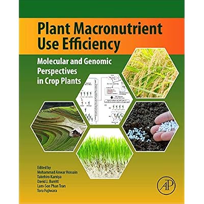 Plant Macronutrient Use Efficiency
